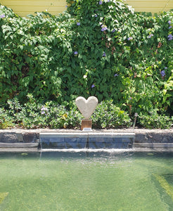 Heart B070