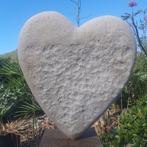 Heart 1198