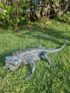 Iguana Three