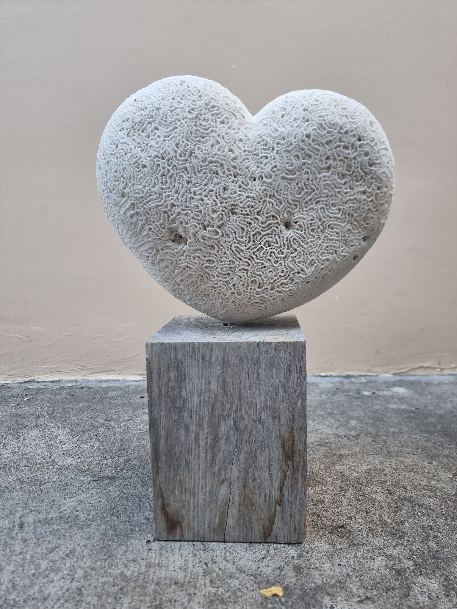 Heart 1197