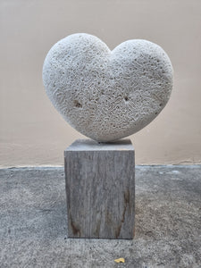 Heart 1197