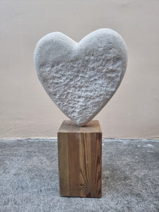 Heart 1198