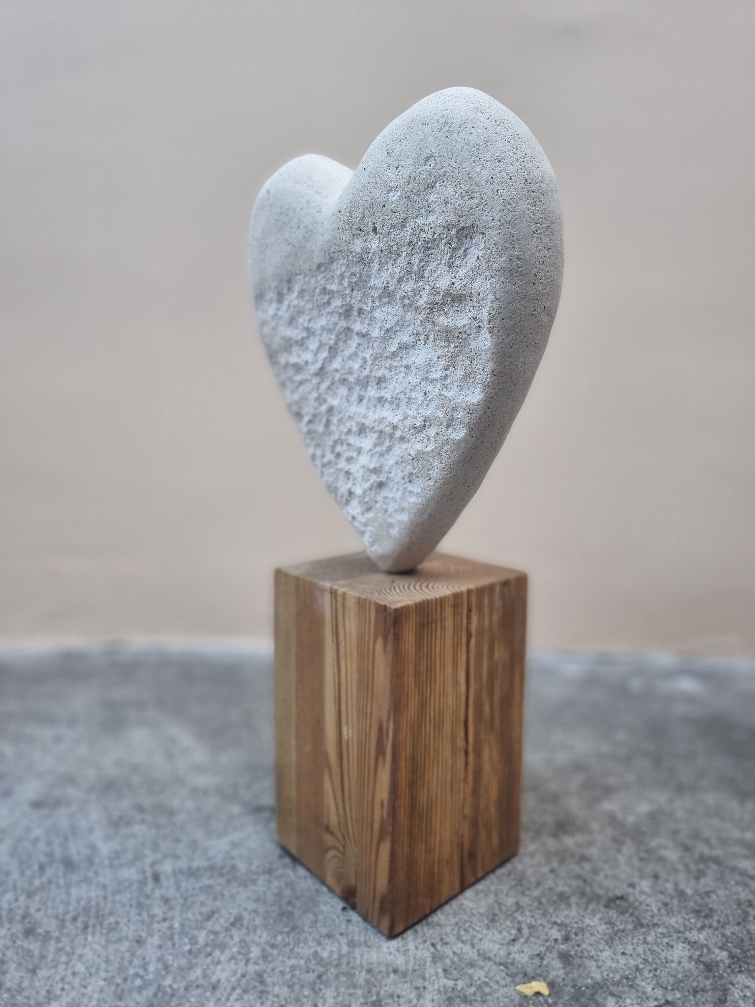 Heart 1198