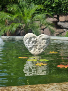 Heart 1203