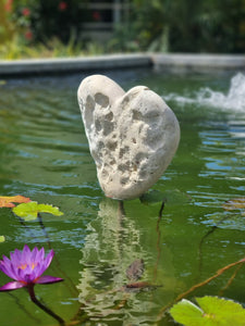 Heart 1203