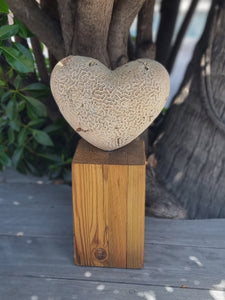 Heart 1199