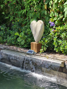 Heart B070