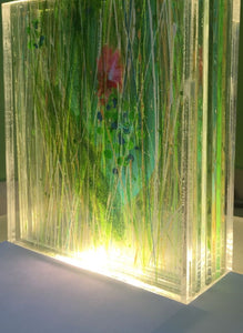 Murs de lumière