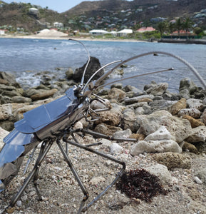 Langouste